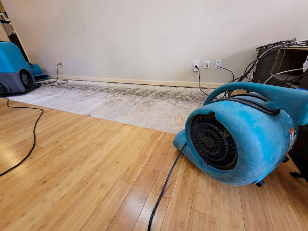 Professional Structural Drying technician working in Lake Park, MN